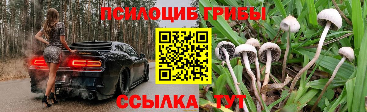 Галлюциногенные грибы Cubensis  Галлюциногенные грибы Magic Shrooms  Вход с VPN  Ханты-Мансийск 